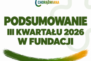 Podsumowanie III kwartału 2026